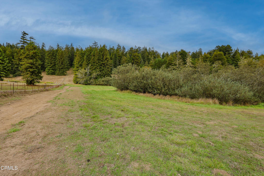 31600 Little Valley Road Fort Bragg, CA 95437 - Photo 72 of 75 BK6A3249 copy