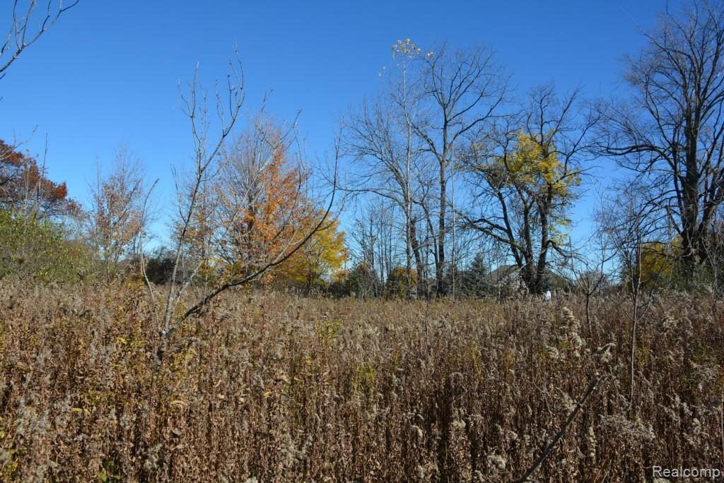 Vac Kidder Road Almont, MI 48003 - Photo 27 of 45