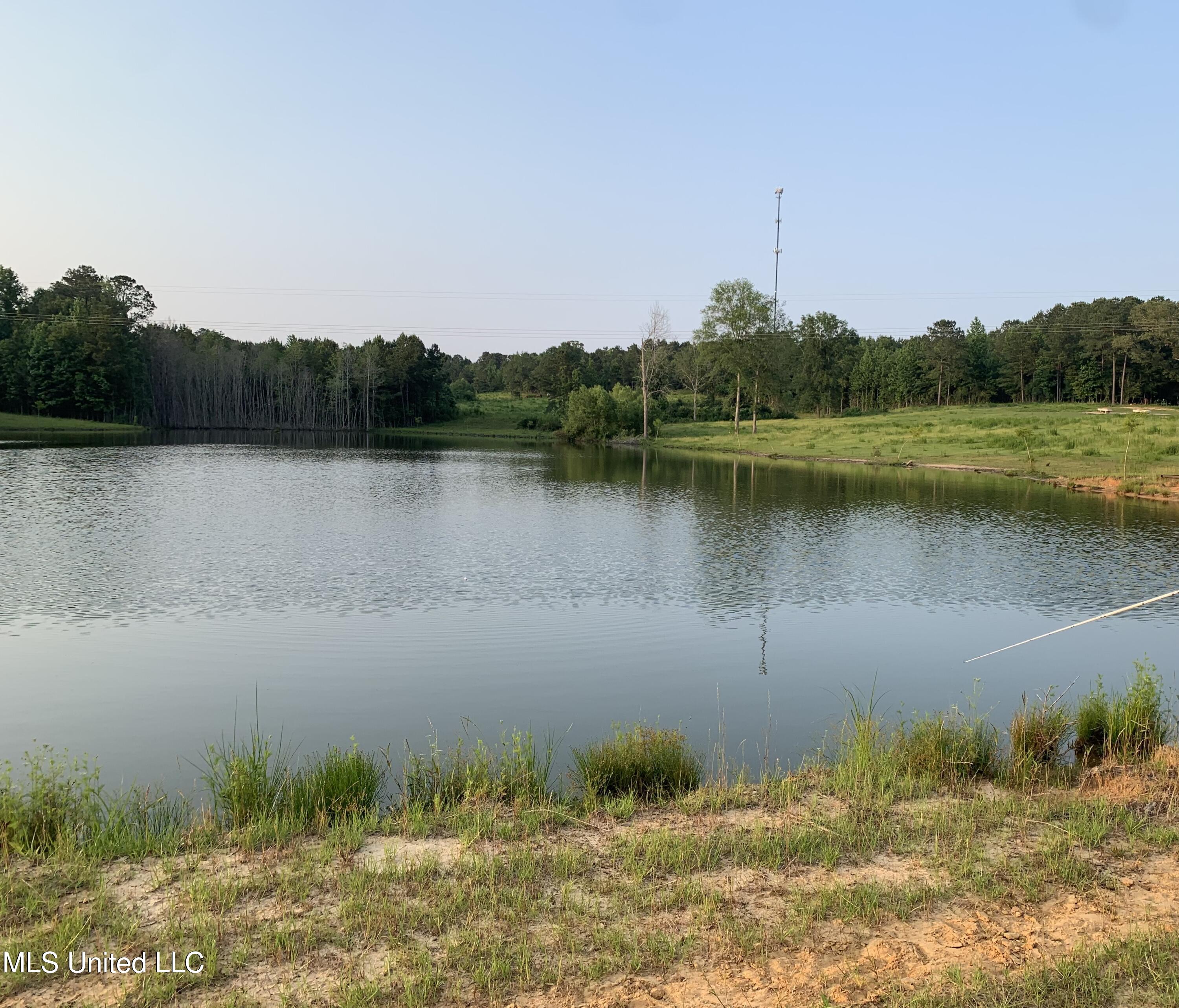 0 Old Gilmer Road Taylorsville, MS 39168 - Photo 11 of 15 IMG_3340