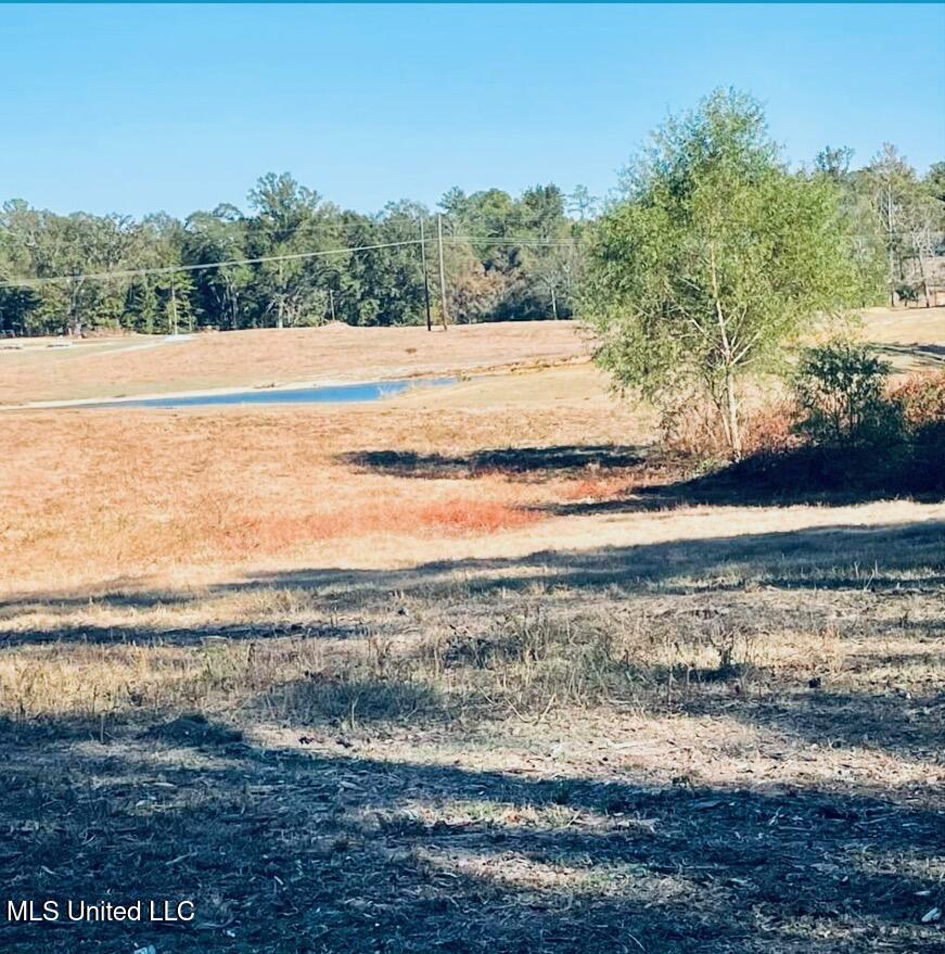 0 Old Gilmer Road Taylorsville, MS 39168 - Photo 13 of 15 IMG_6928