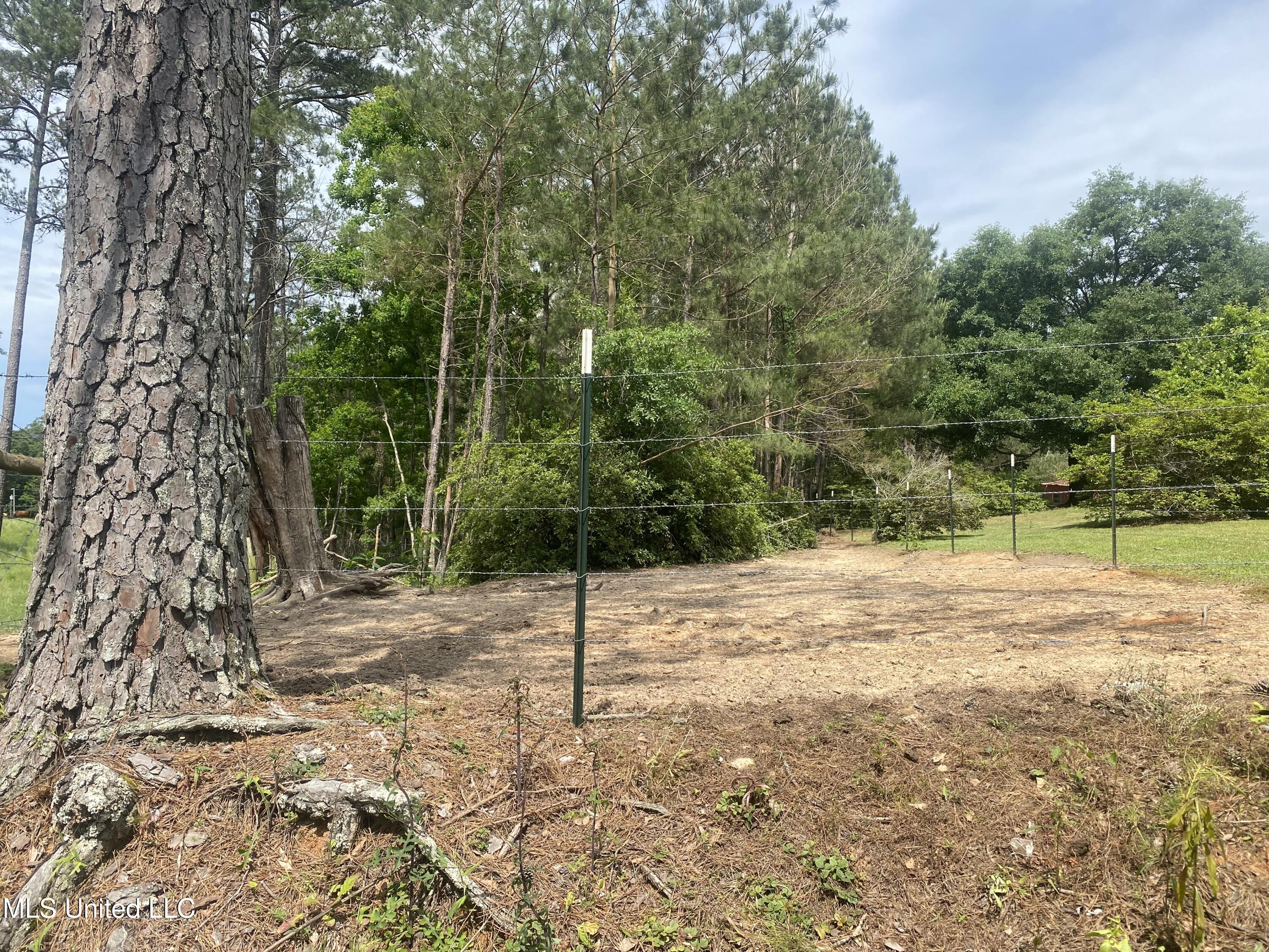 0 Old Gilmer Road Taylorsville, MS 39168 - Photo 14 of 15 IMG_6818