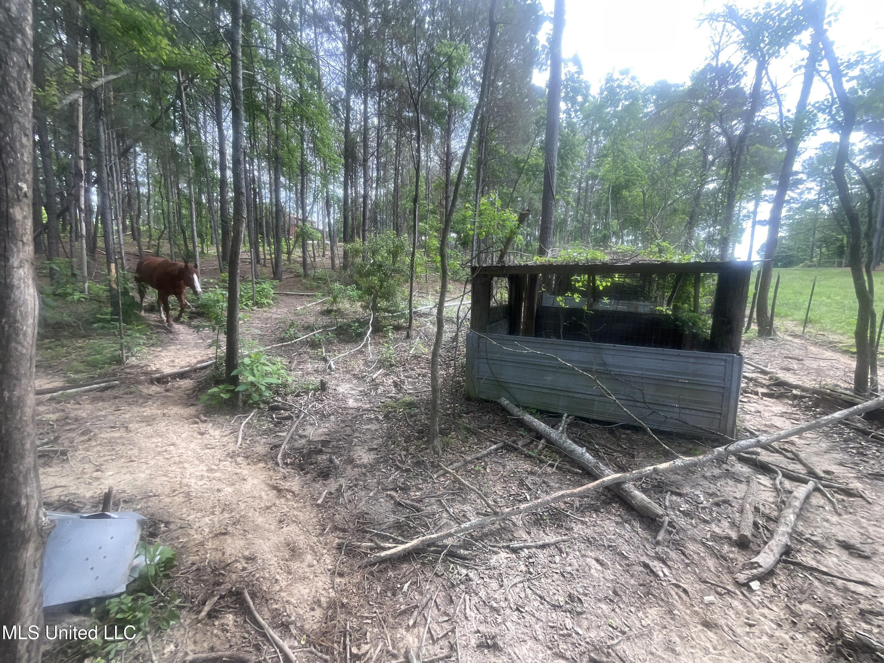 0 Old Gilmer Road Taylorsville, MS 39168 - Photo 15 of 15 IMG_2938