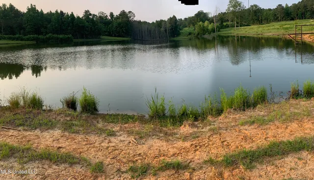 $125,000 | 0 Old Gilmer Road, Taylorsville, MS 39168
