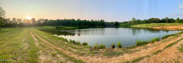 $125,000 | 0 Old Gilmer Road, Taylorsville, MS 39168