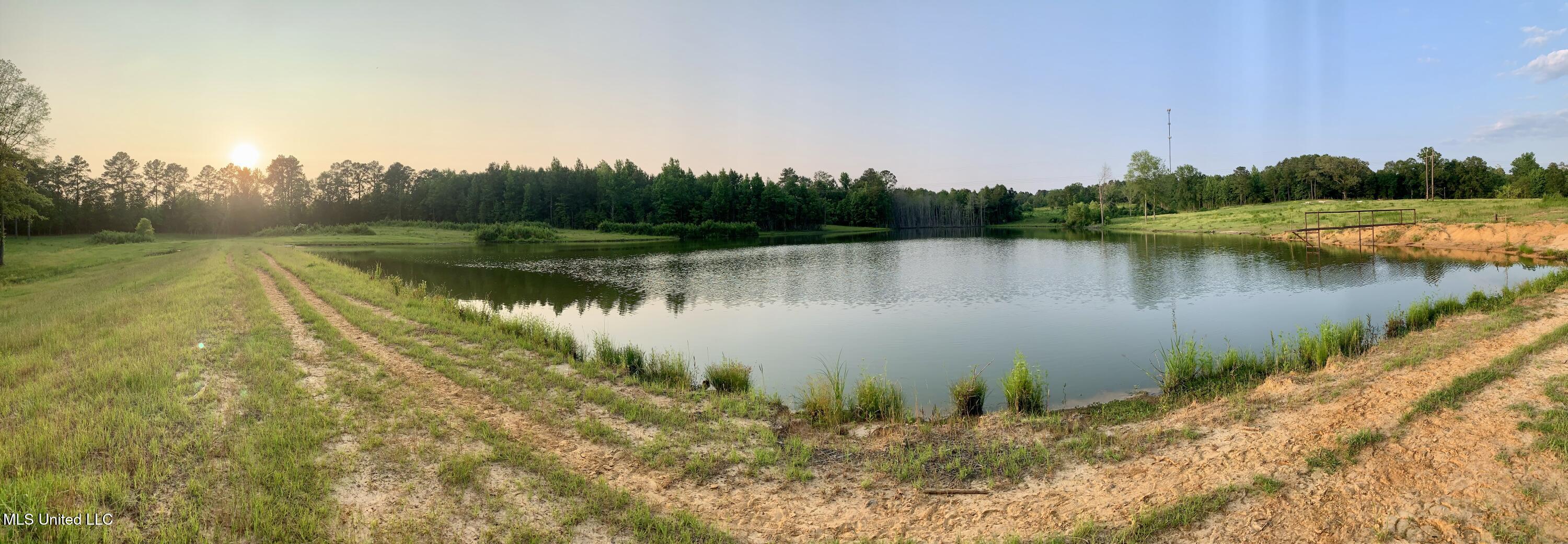 0 Old Gilmer Road Taylorsville, MS 39168 - Photo 6 of 15 IMG_3349