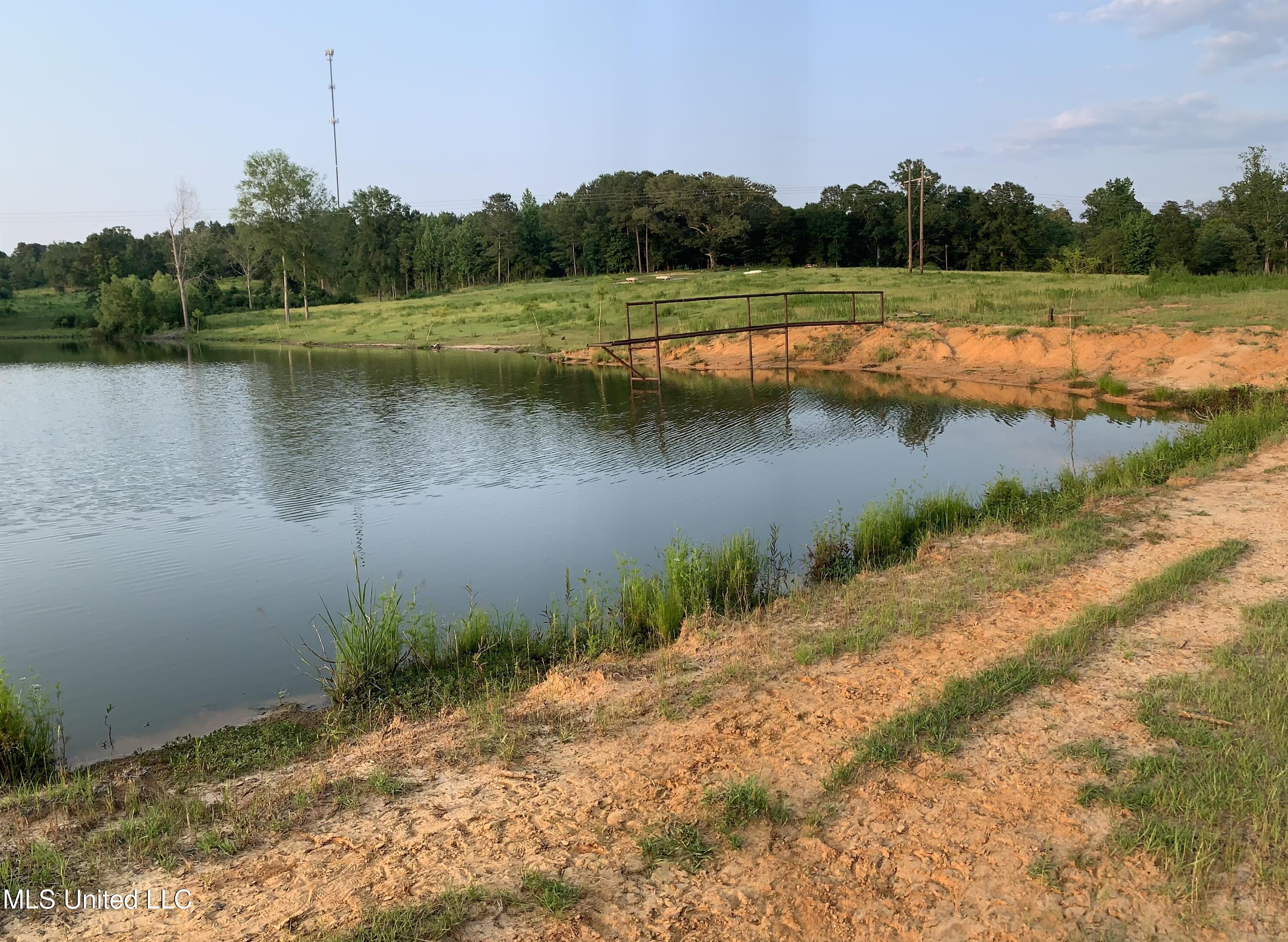 0 Old Gilmer Road Taylorsville, MS 39168 - Photo 8 of 15 IMG_3347