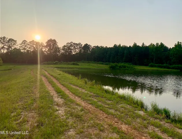 $125,000 | 0 Old Gilmer Road, Taylorsville, MS 39168
