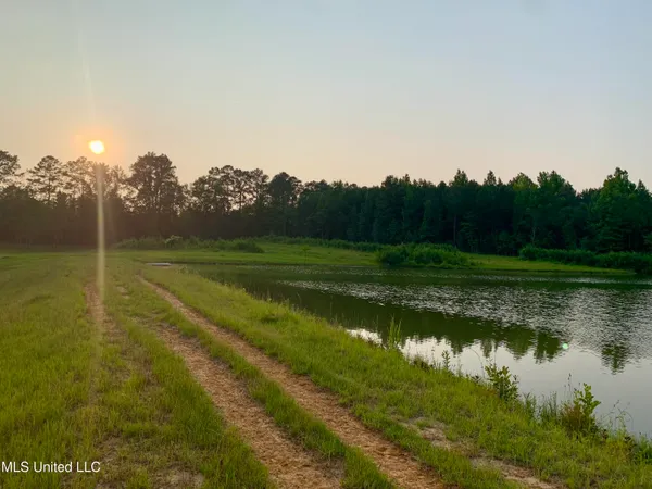 $125,000 | 0 Old Gilmer Road, Taylorsville, MS 39168