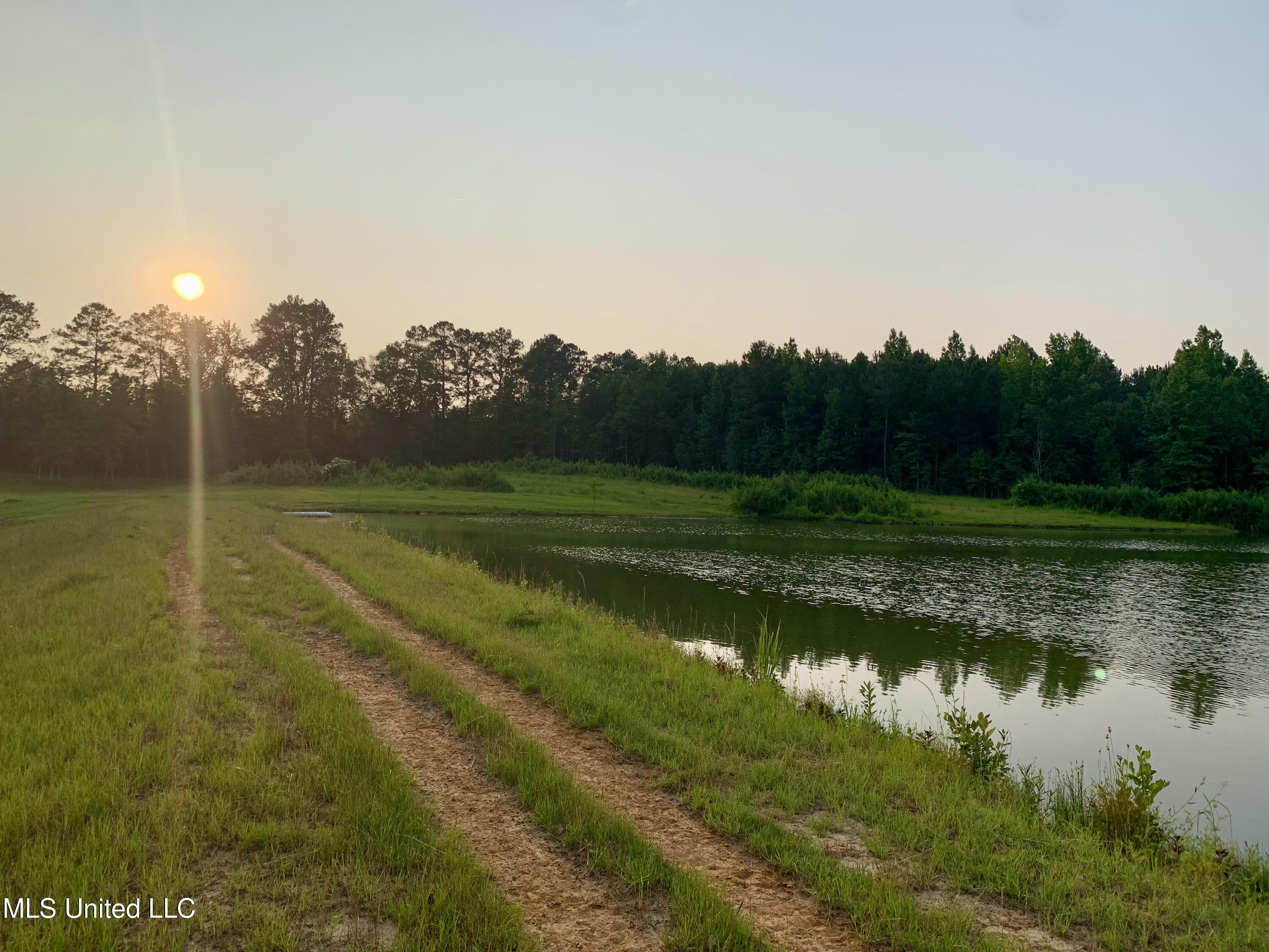 0 Old Gilmer Road Taylorsville, MS 39168 - Photo 10 of 15 IMG_3343