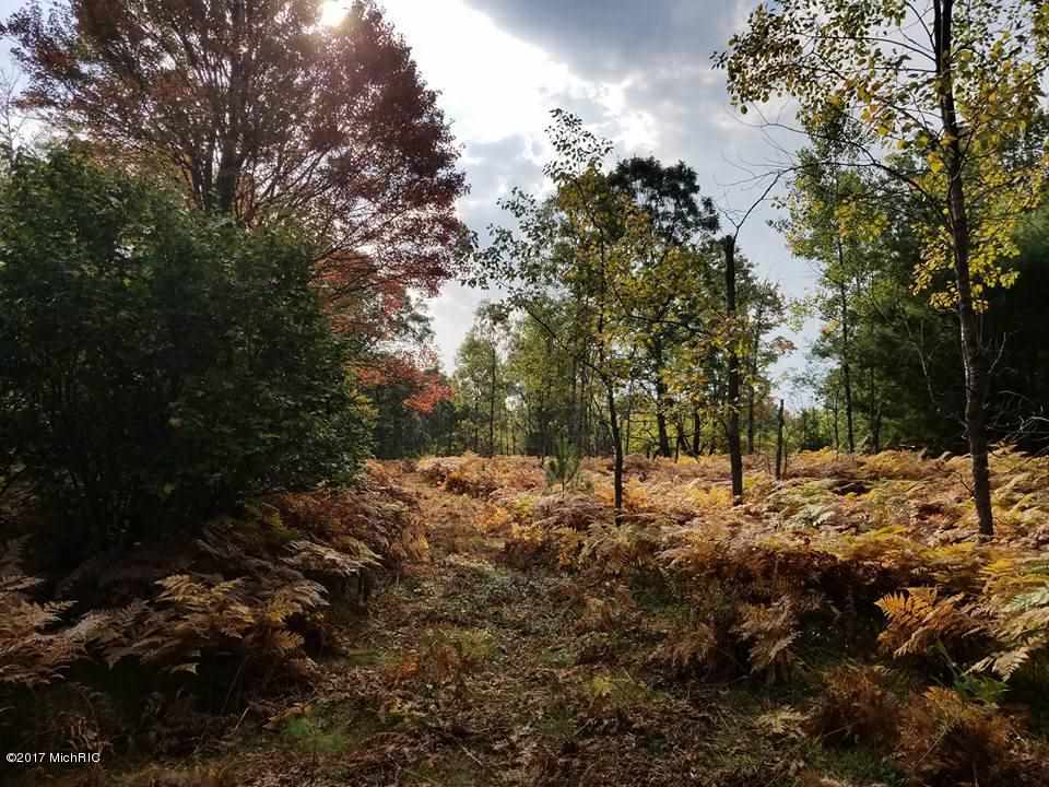 37 1/2 37 1/2 Road Manton, MI 49663 - Photo 15 of 27