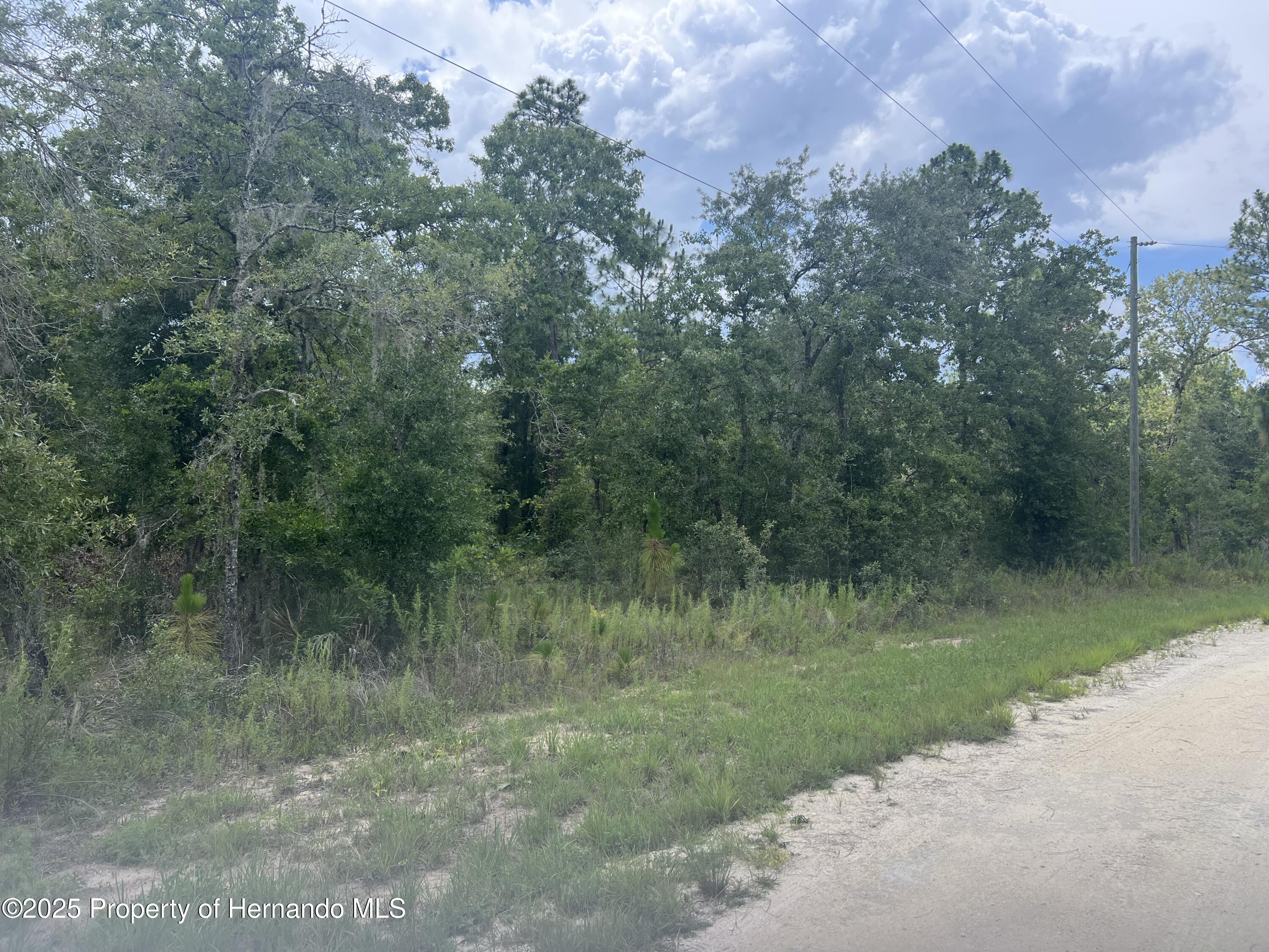 0 Crabapple Road Weeki Wachee, FL 34614 - Photo 5 of 6