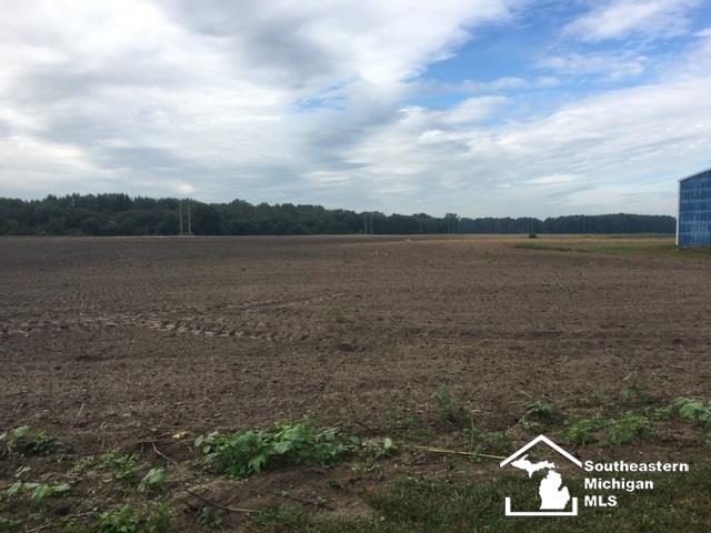 4103 Bluebush Road Monroe, MI 48162 - Photo 12 of 32