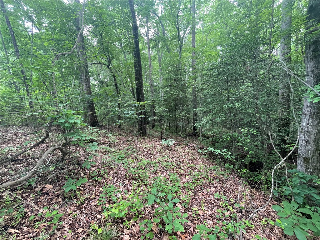156 Zion School Road Easley, SC 29642 - Photo 18 of 42 Gallery Image 18