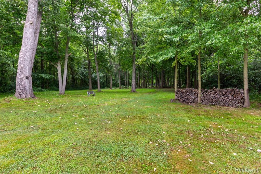 26429 Inkster Road Flat Rock, MI 48134 - Photo 75 of 93 Gallery Image 75