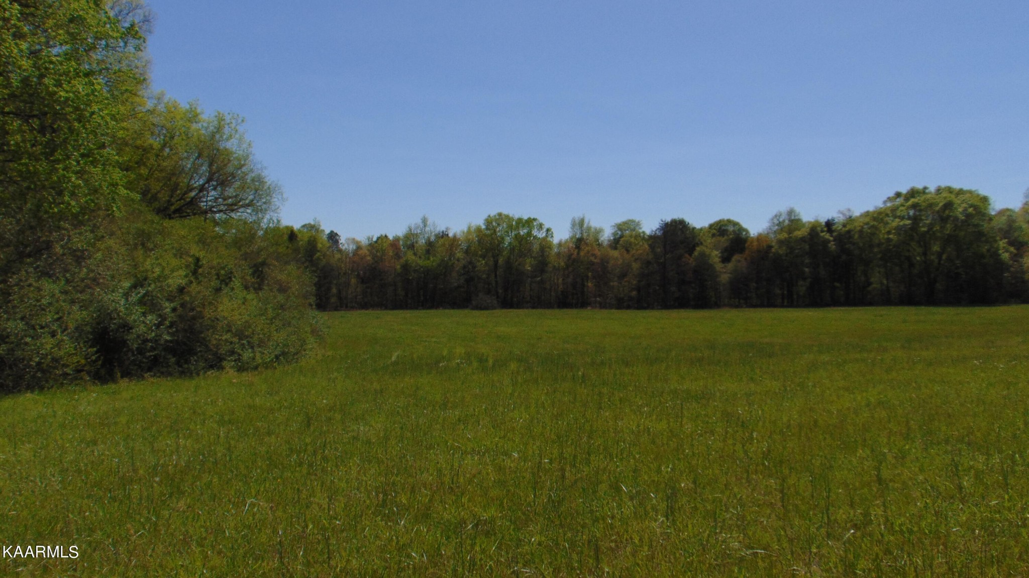 2 Euchee Road Ten Mile, TN 37880 - Photo 6 of 26