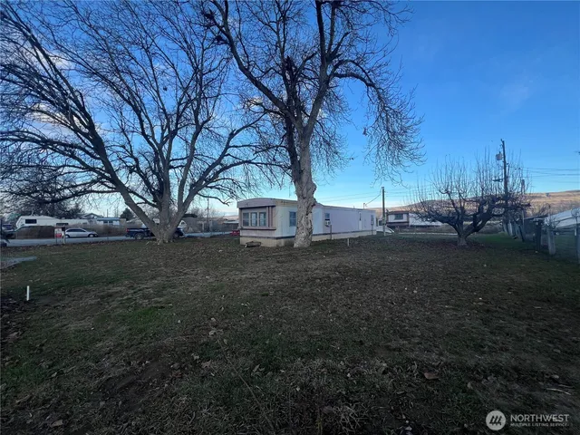 a view of a backyard with large trees