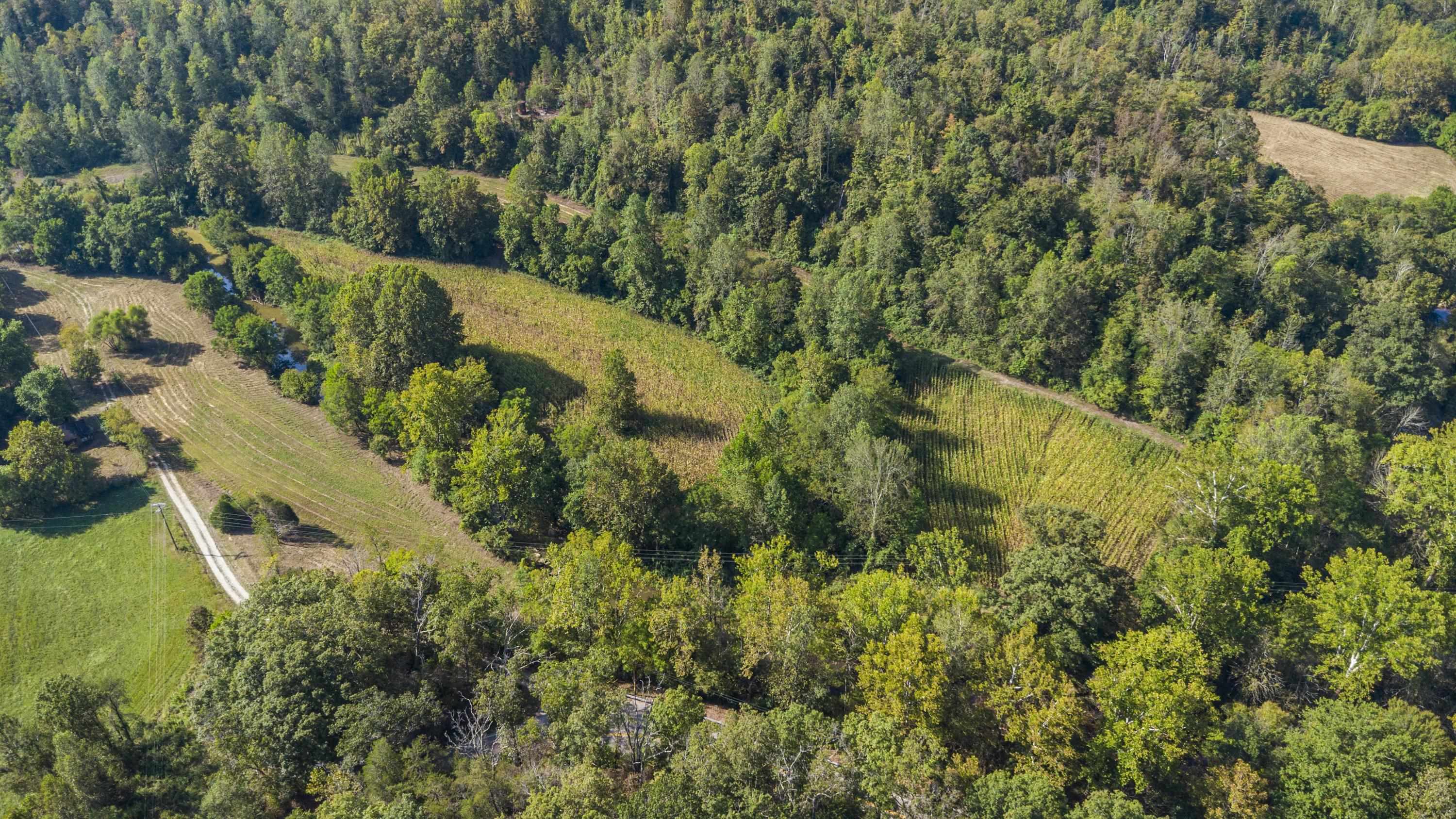 0 Tate Hollow Road Louisa, KY 41230 - Photo 28 of 50