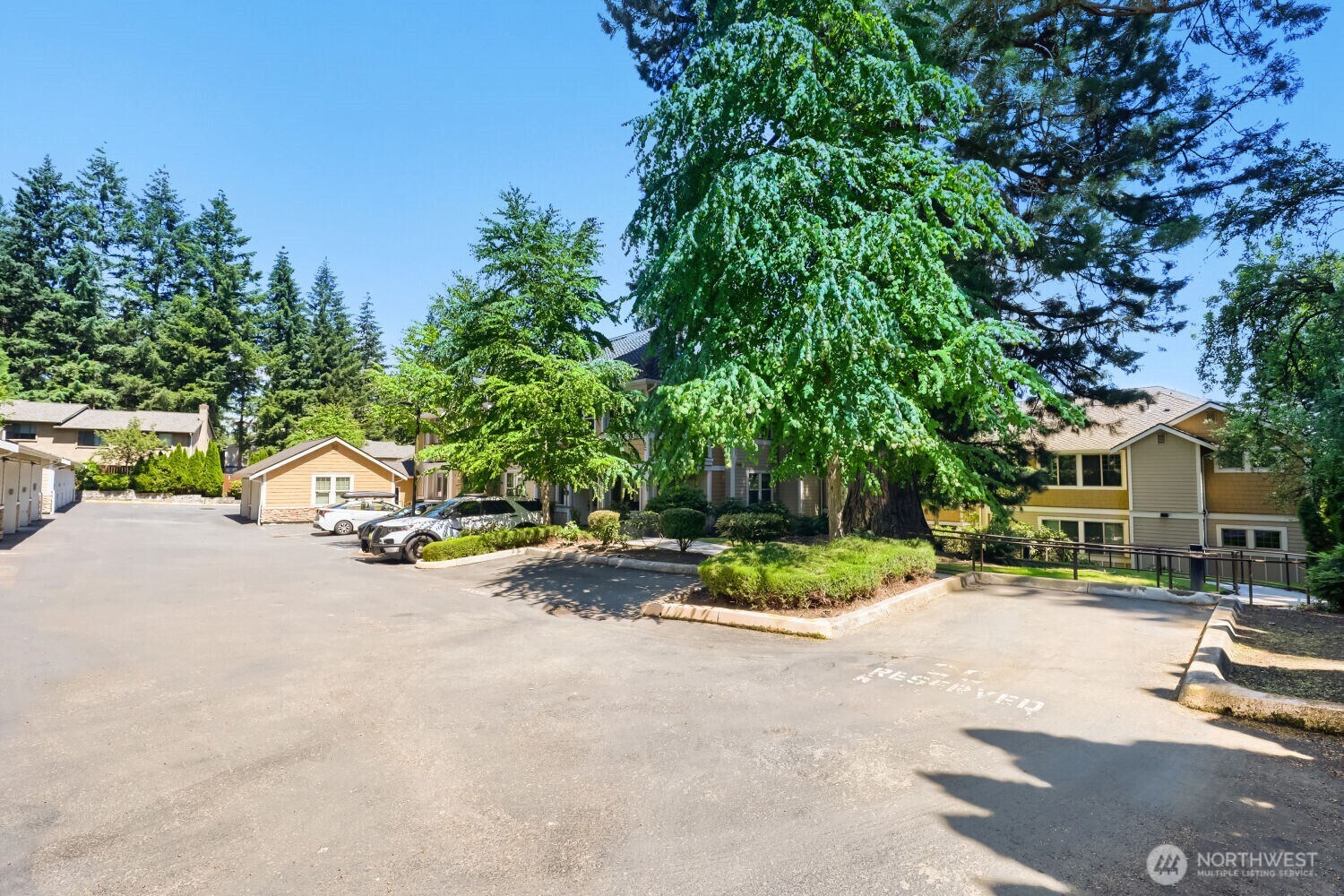 8535 Avondale Road Northeast, Unit A204 Redmond, WA 98052 - Photo 32 of 34