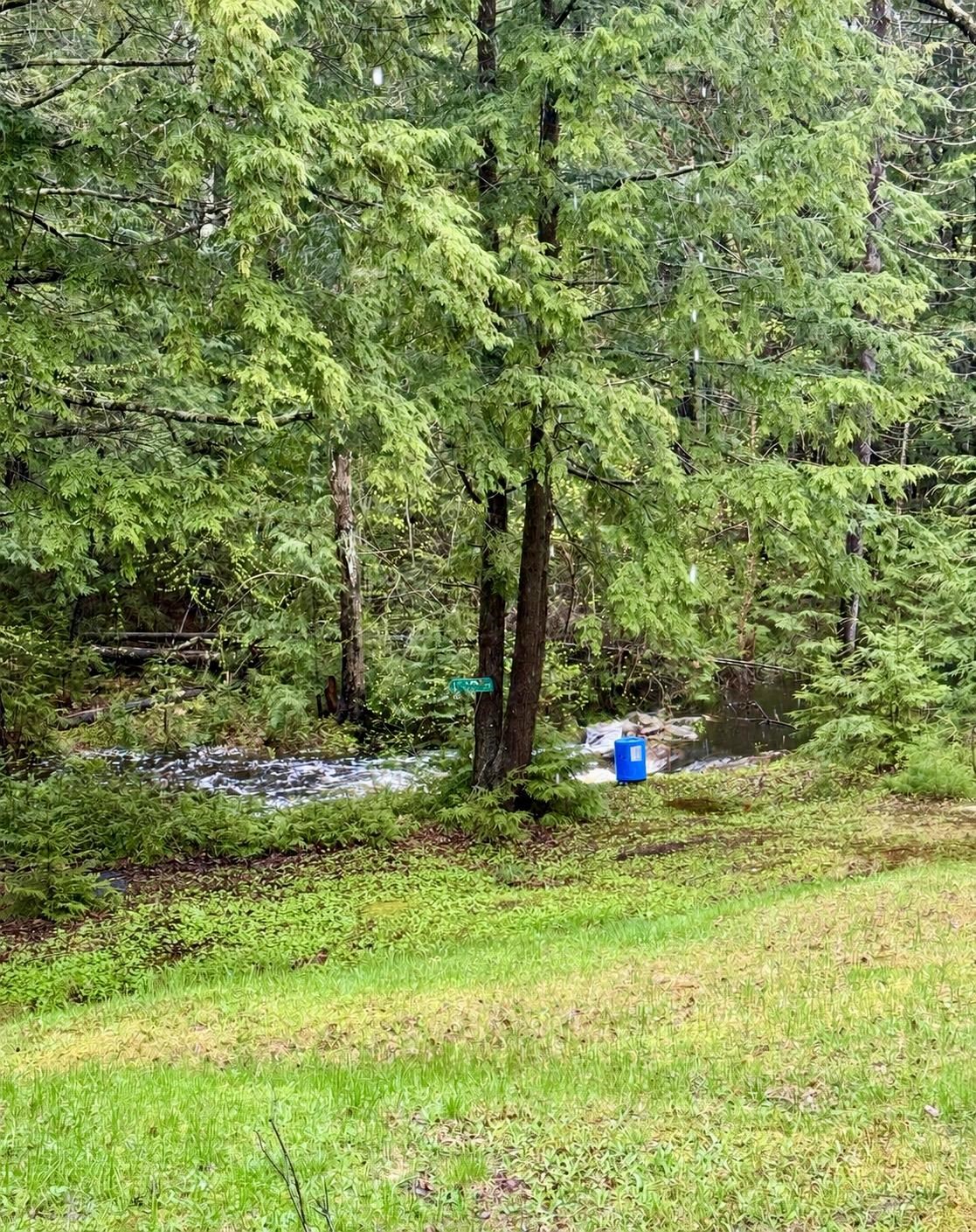 392 Dean Road Grafton, NH 03240 - Photo 1 of 6