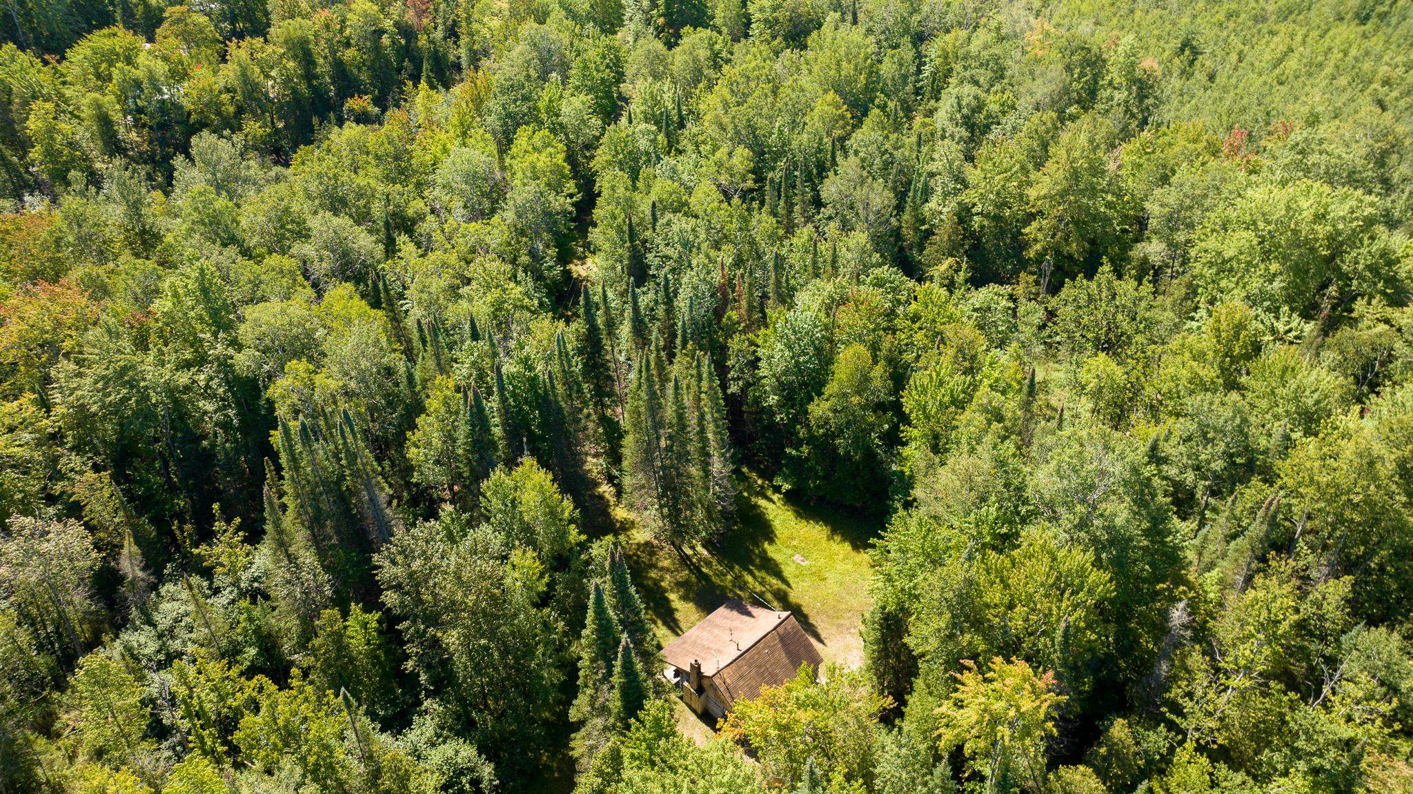 6400 West Moorestown Road Manton, MI 49663 - Photo 54 of 60
