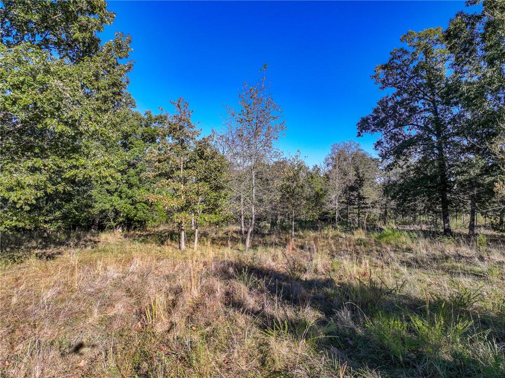 2125 S Road Stockton, MO 65785 - Photo 26 of 33 Gallery Image 26