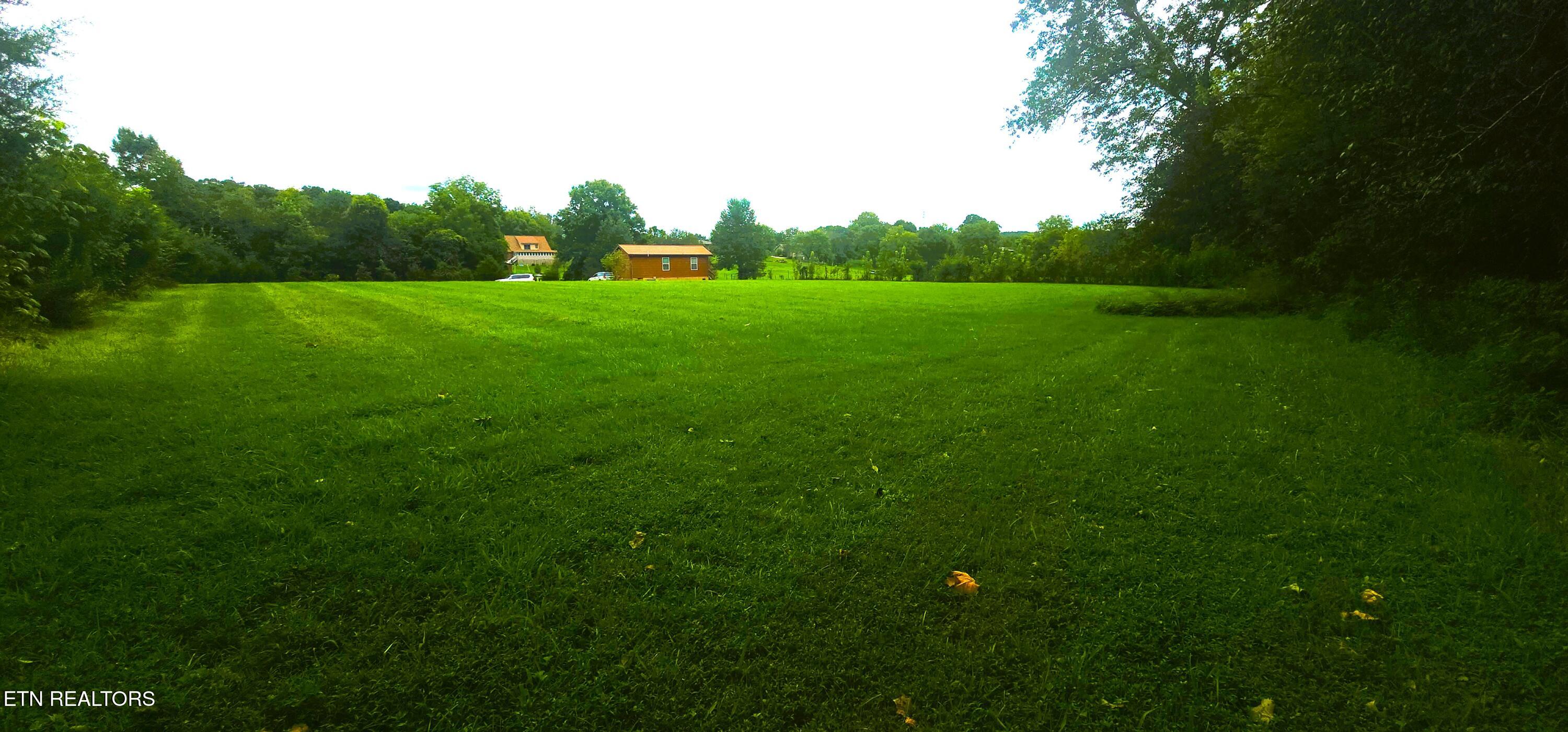 0 Randys Timber Way Corryton, TN 37721 - Photo 6 of 8 20260821_132311