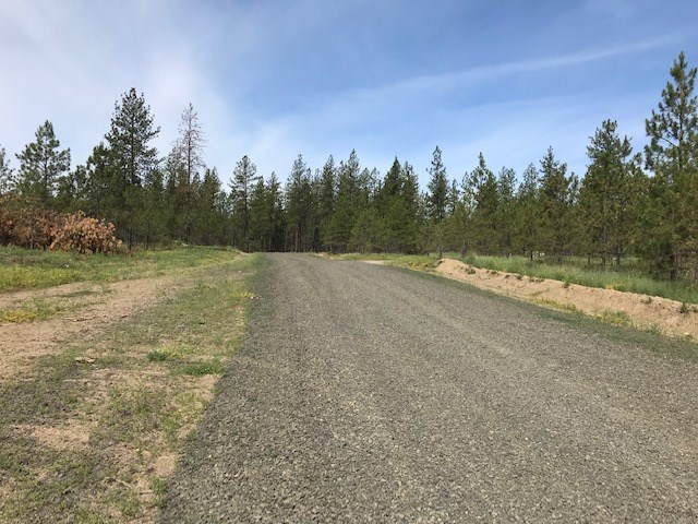 1 Corkscrew Canyon Road Tumtum, WA 99034 - Photo 4 of 10 Gallery Image 4