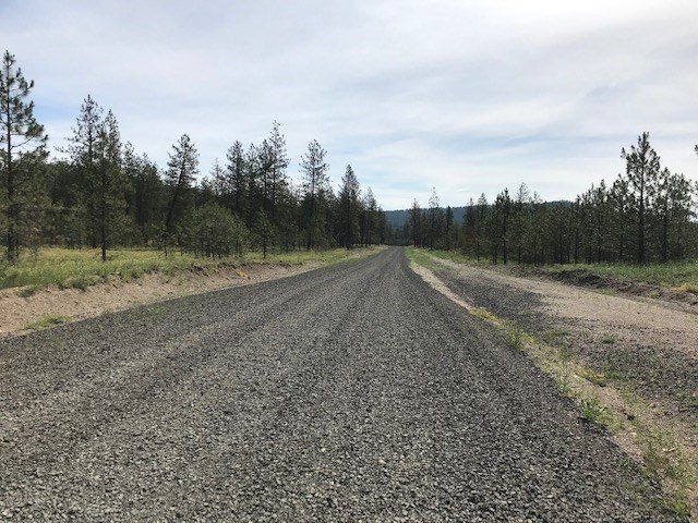 1 Corkscrew Canyon Road Tumtum, WA 99034 - Photo 5 of 10 Gallery Image 5