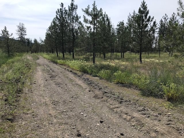 1 Corkscrew Canyon Road Tumtum, WA 99034 - Photo 6 of 10 Gallery Image 6