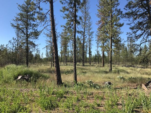 1 Corkscrew Canyon Road Tumtum, WA 99034 - Photo 8 of 10 Gallery Image 8
