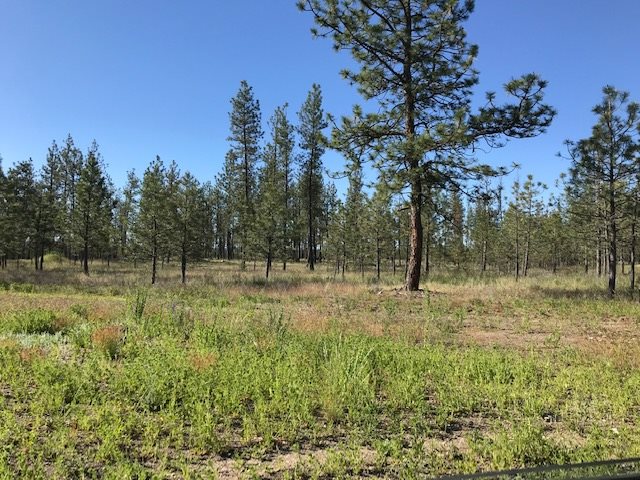 1 Corkscrew Canyon Road Tumtum, WA 99034 - Photo 10 of 10 Gallery Image 10