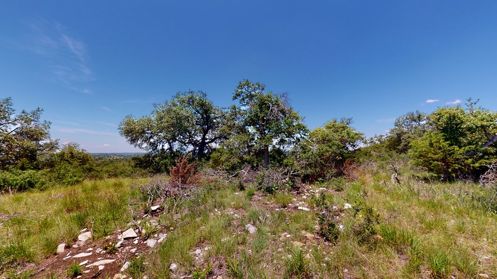 100 Joe W Road Fredericksburg, TX 78624 - Photo 12 of 25 Gallery Image 12