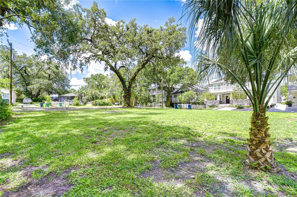 0 Stanley Tampa, FL 33604 - Photo 2 of 6 a view of green field with trees