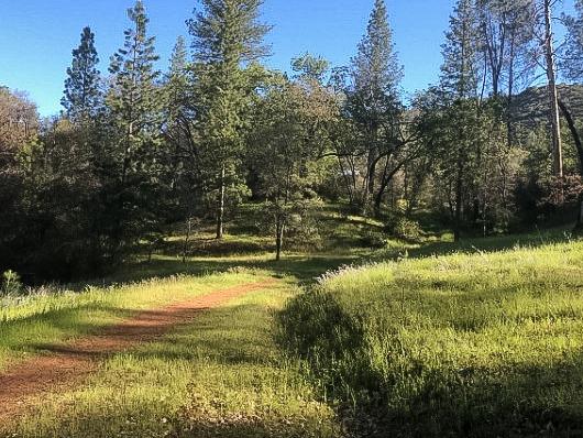 4743 Buffalo Gulch Road Midpines, CA 95345 - Photo 2 of 43 Gallery Image 2