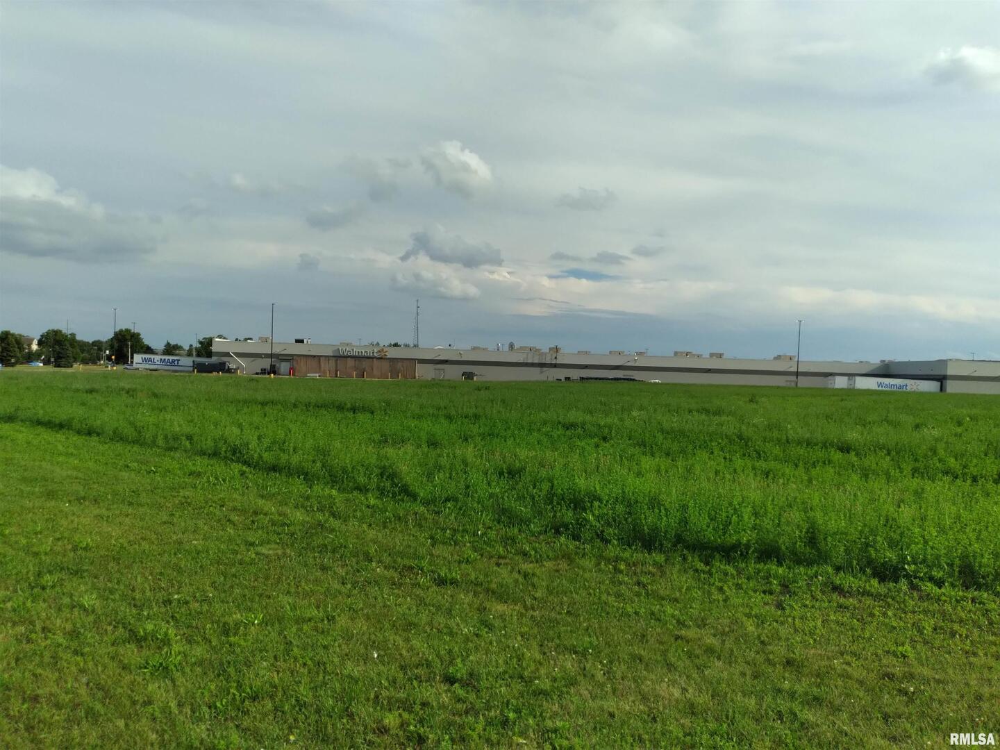 2401 Manufacturing Drive Clinton, IA 52732 - Photo 5 of 17 a view of a big yard with plants and large trees