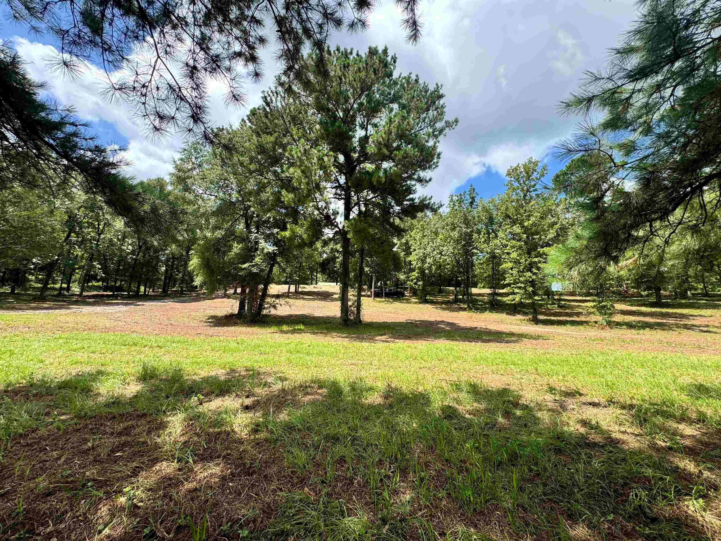 12161 Ridgeview Loop Andalusia, AL 36421 - Photo 6 of 22 Gallery Image 6