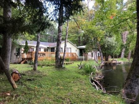 8166 North Granger Road Irons, MI 49644 - Photo 4 of 24 b