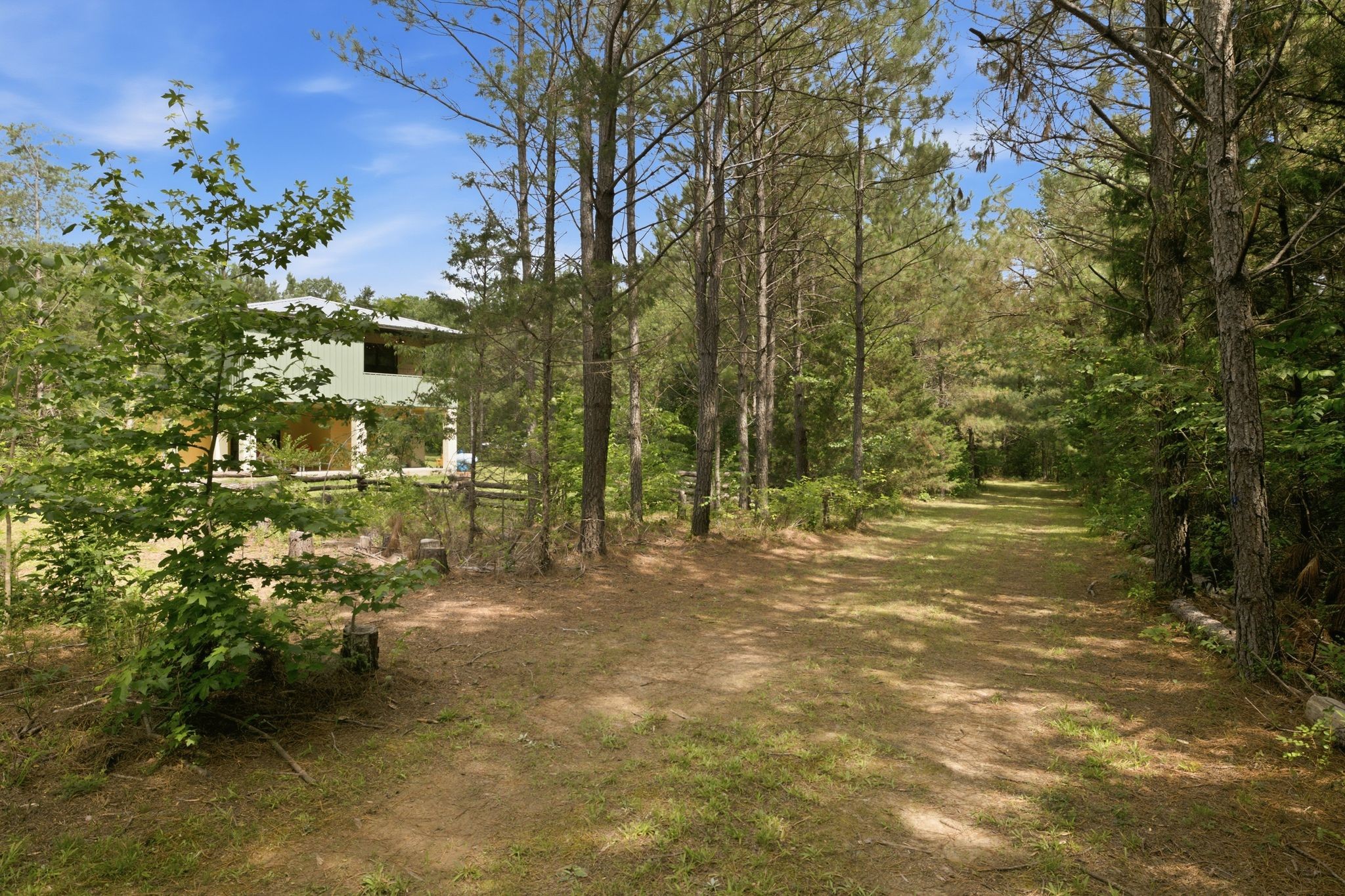 1405 Trace Creek Road Hohenwald, TN 38462 - Photo 42 of 52