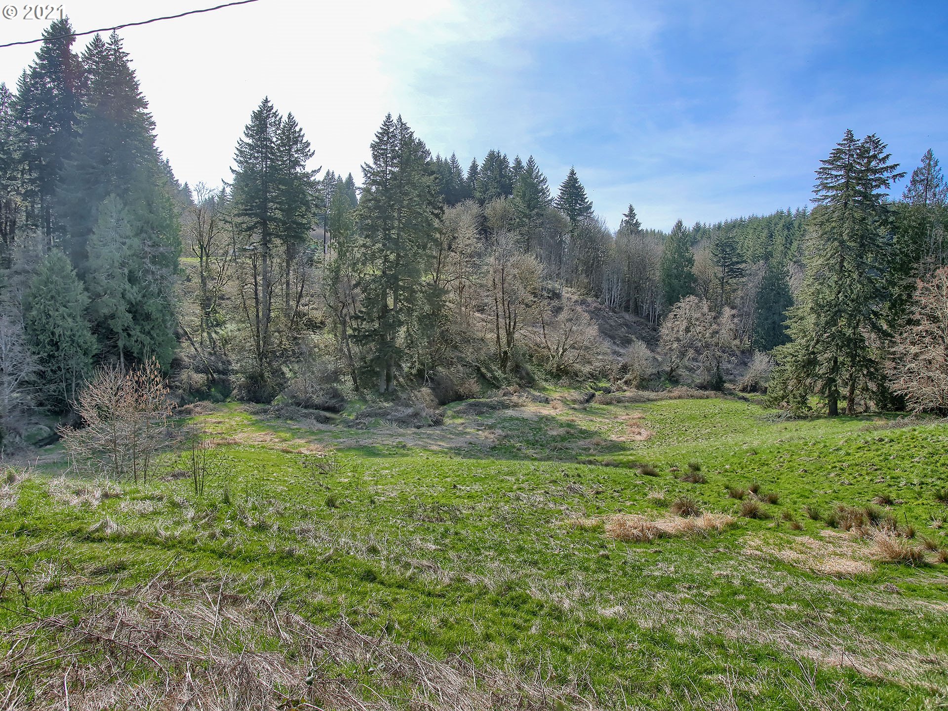 55749 Hazen Road Warren, OR 97053 - Photo 24 of 29 Gallery Image 24