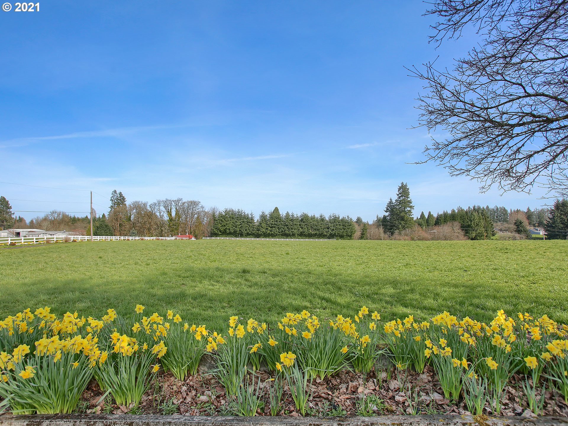 55749 Hazen Road Warren, OR 97053 - Photo 28 of 29 Gallery Image 28
