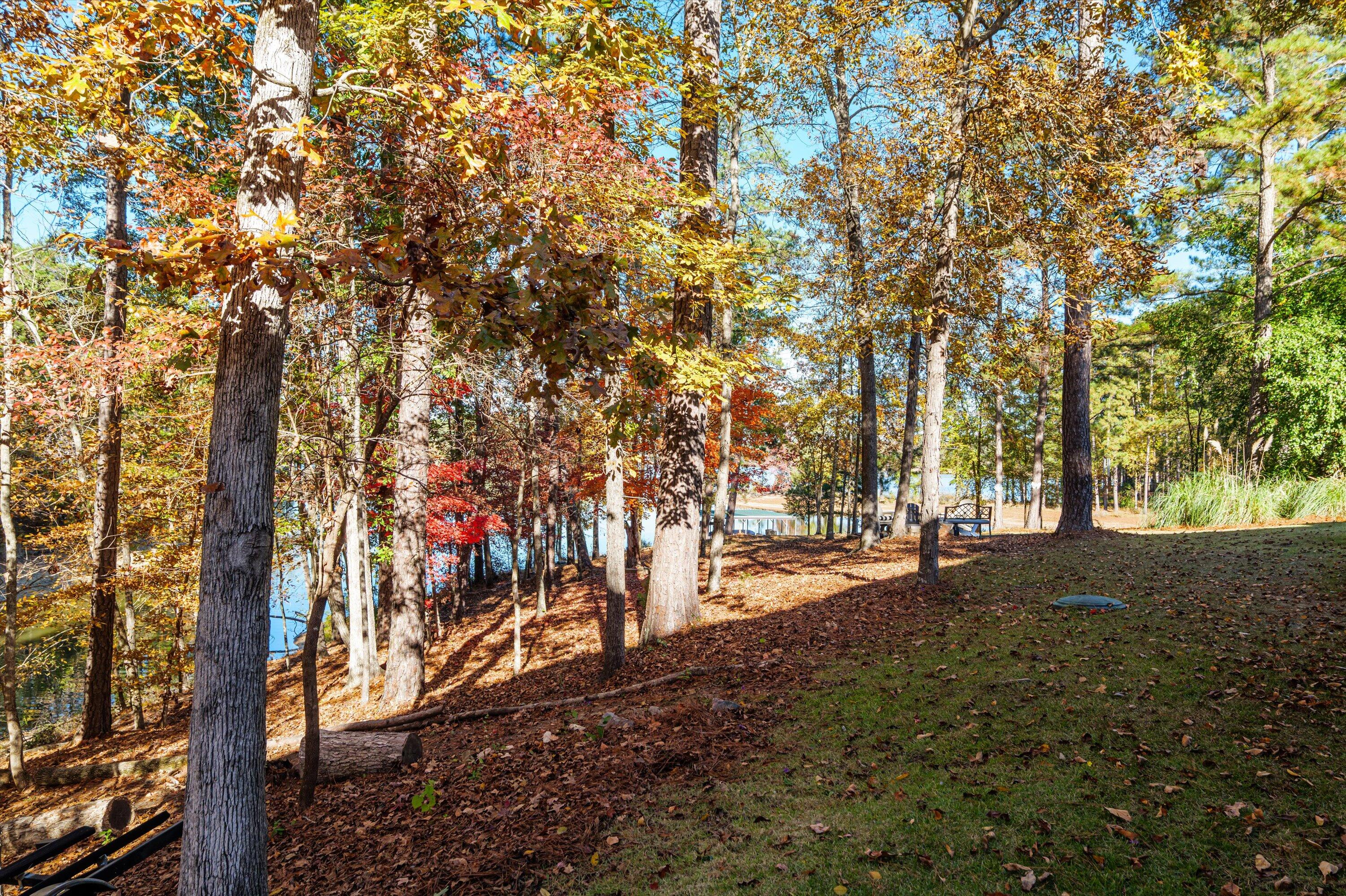214 Butler Point McCormick, SC 29835 - Photo 59 of 70 083-P1414283