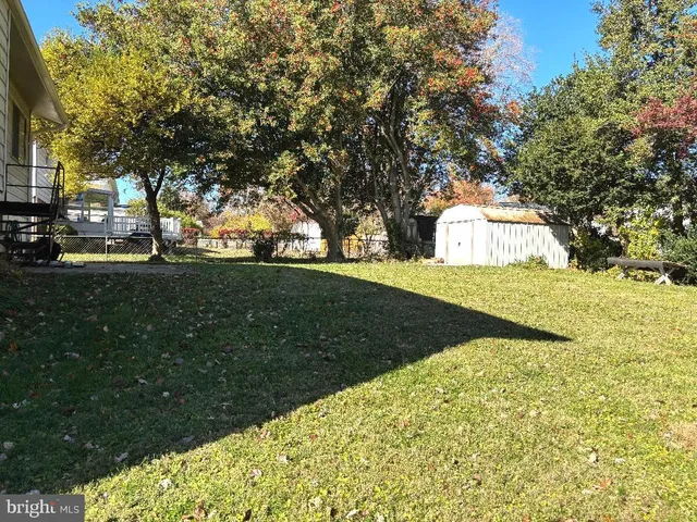 a view of backyard with green space