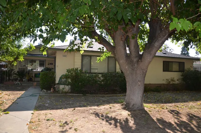 a tree in front of a white house