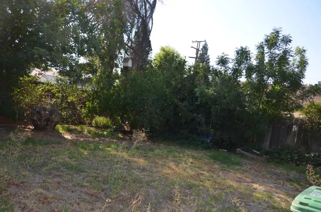 a view of a forest with trees in the background