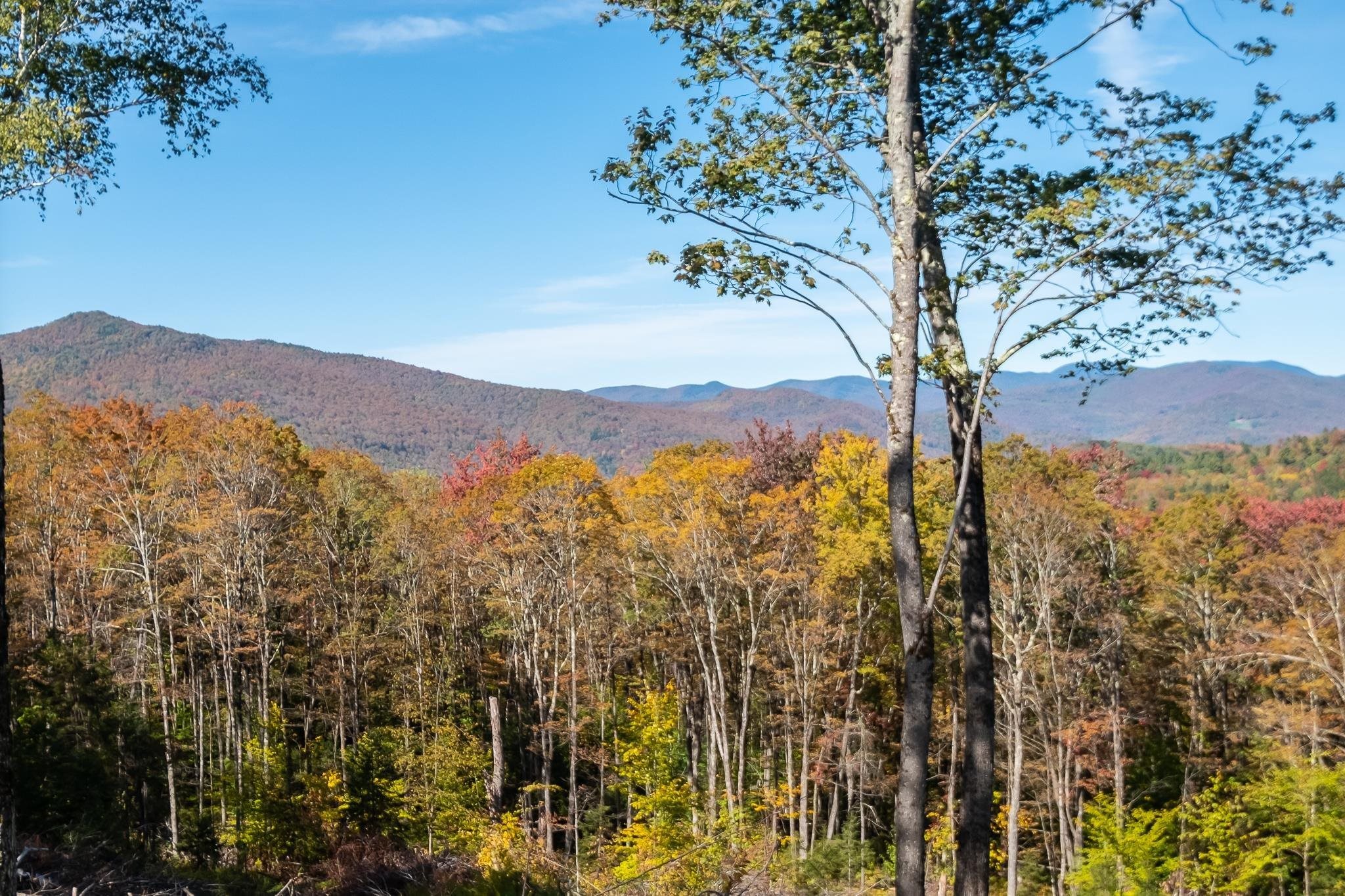 952 Bethel Mountain Road, Unit 1 Rochester, VT 05767 - Photo 1 of 12 Gallery Image 1