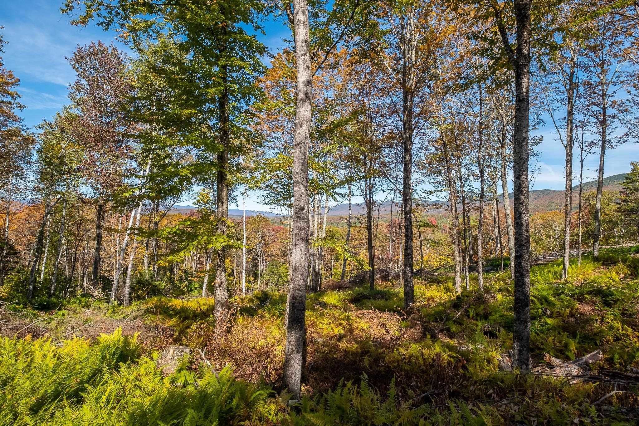 952 Bethel Mountain Road, Unit 1 Rochester, VT 05767 - Photo 5 of 12 Gallery Image 5