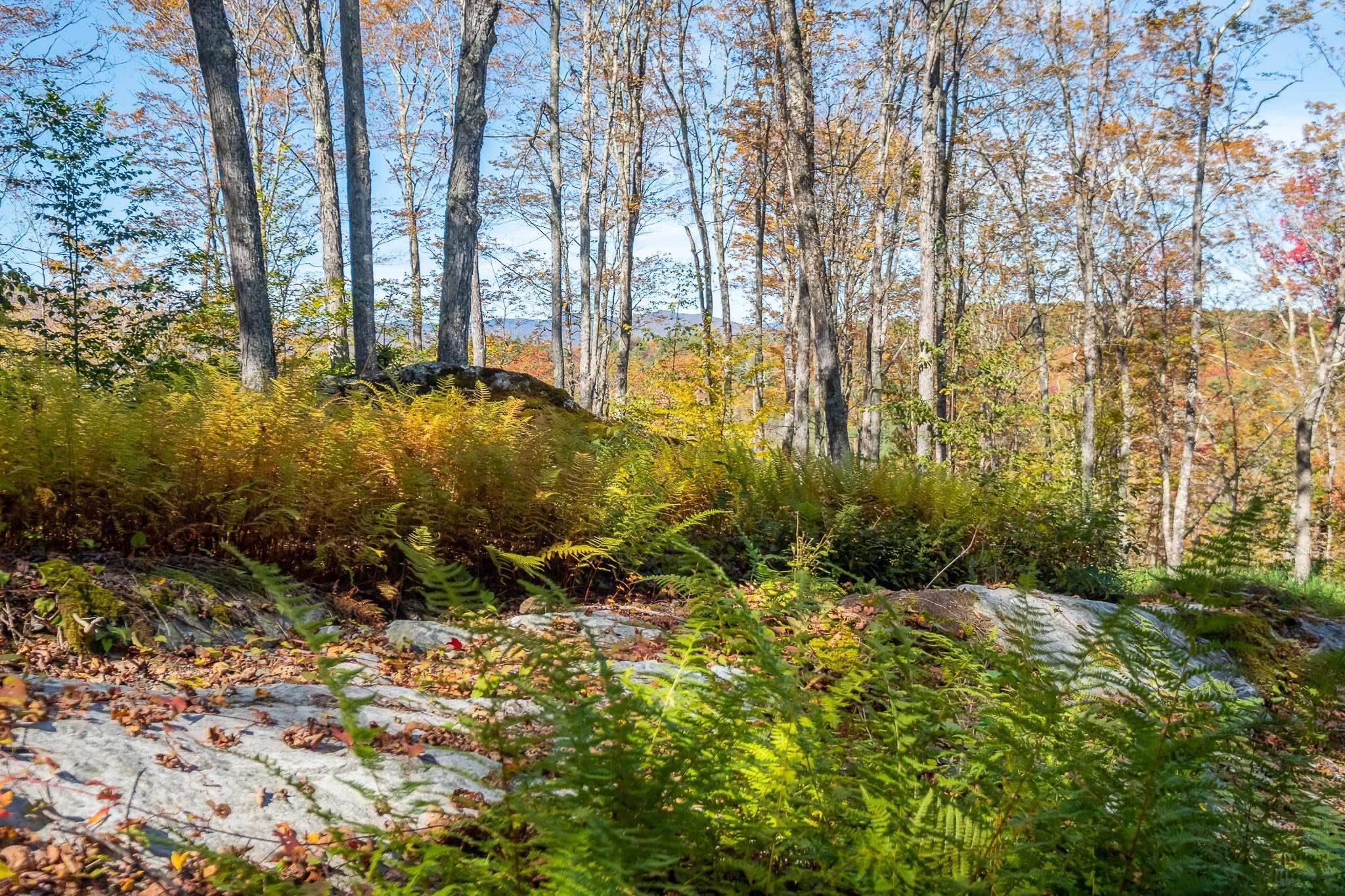 952 Bethel Mountain Road, Unit 1 Rochester, VT 05767 - Photo 8 of 12 Gallery Image 8