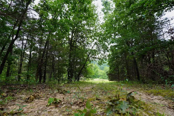 $392,000 | 28 Hwy 100 Hermann Mo 65041, Hermann, MO 65041