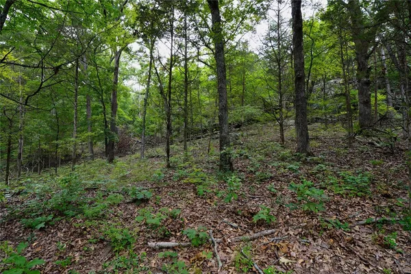 $392,000 | 28 Hwy 100 Hermann Mo 65041, Hermann, MO 65041