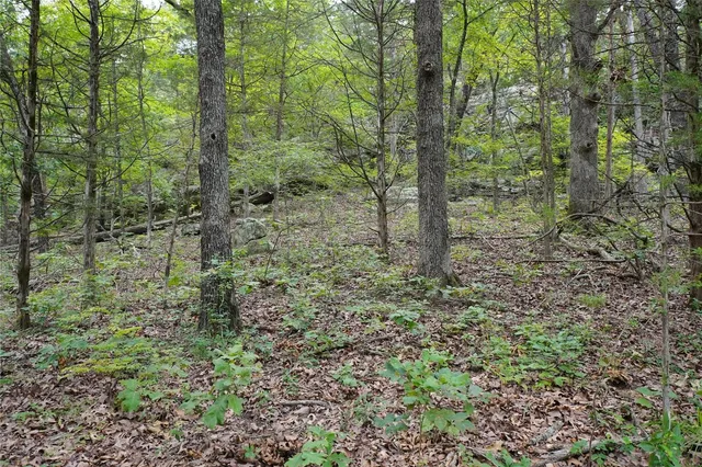 $392,000 | 28 Hwy 100 Hermann Mo 65041, Hermann, MO 65041